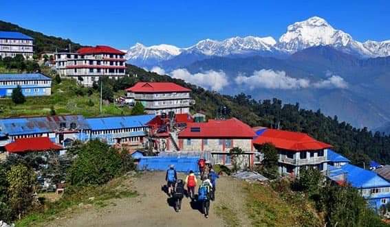 Gorepani Poon hill and Annapurna south Base camp Trek in 14 Days